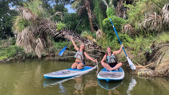 Wildlife Refuge Manatee, Dolphin & Mangrove Kayak or Paddleboarding Tour!