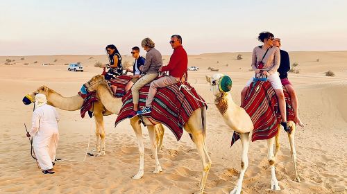 Morning Red Dune Safari with Camel Trekking and sand boarding 3