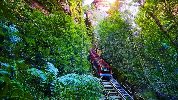 促銷#悉尼藍山國家公園一日遊【包括小費可選平治丨纜車丨林肯岩】