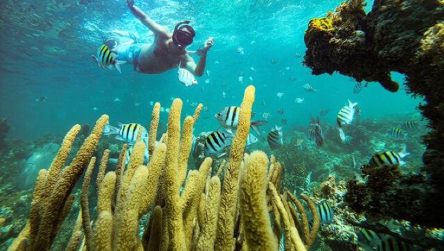 Punta Cana Adults-Only Snorkel tour with Premium Seafood Lunch
