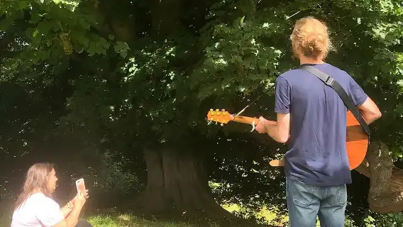 A Tour of Glastonbury, Guided by the Trees. 