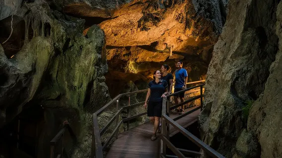 Capricorn Caves Cathedral Cave Tour
