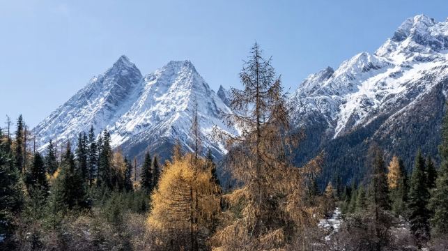 成都-四姑娘山出發 接駁車【2+1豪華保姆】去程·返程可選｜正規車輛·舒適空調/豪華保姆2+1大巴可選