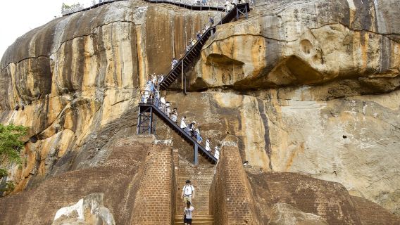Sigiriya, Dambulla & Safari Day Tour from Colombo