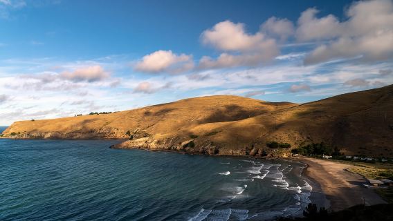 1/2-Day Christchurch Scenic Highlights Small Group Tour