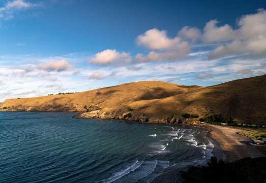 Christchurch: 1/2-Day Scenic Highlights Small Group Tour