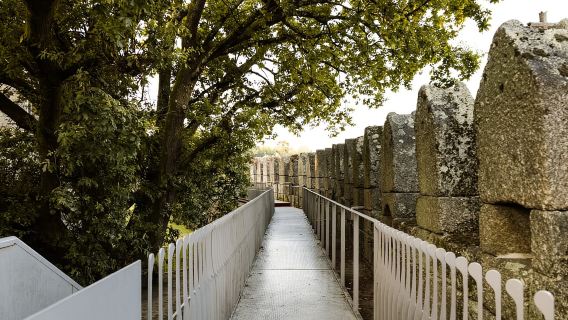 Guimarães: Highlights and Hidden Gems Walking Tour