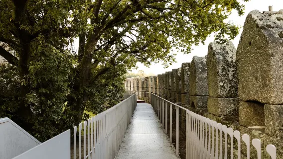 Guimarães: Highlights and Hidden Gems Walking Tour