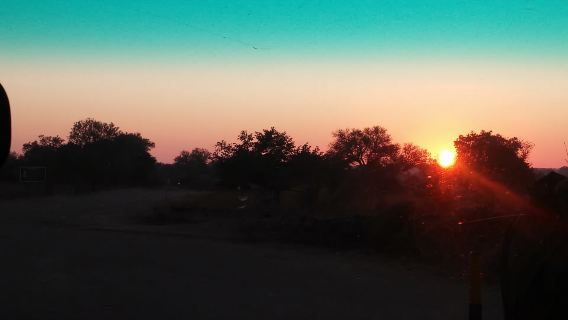 Kruger National Park Morning Safari