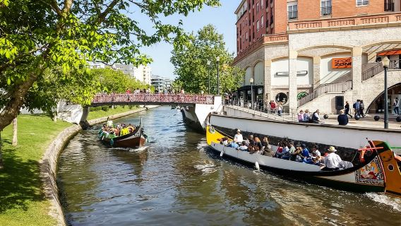 From Porto: Aveiro, Paiva Walkways, & Suspension Bridge Tour