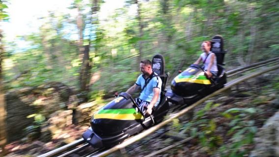 Jamaica: Bobsled and Dunn's River Falls Adventure Tour