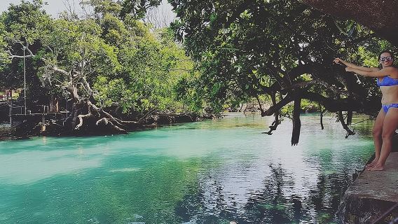 Port Vila: Pepeyo, Blue Lagoon & Eden Tour