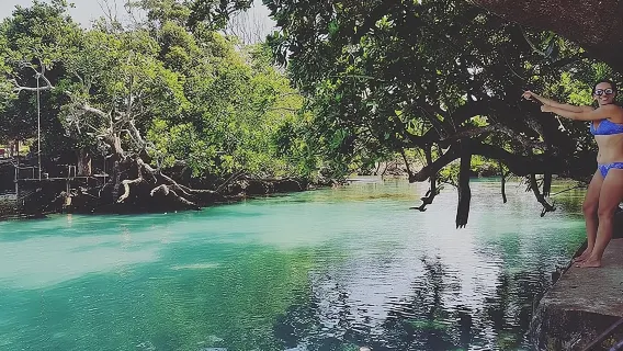 Port Vila: Pepeyo, Blue Lagoon & Eden Tour