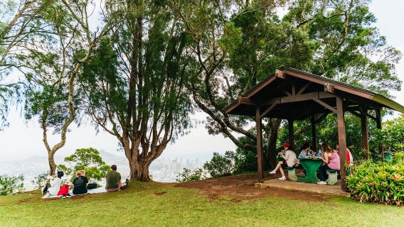 Oahu: Đi bộ đường dài đến thác Manoa Falls kèm bữa trưa và dịch vụ đưa đón