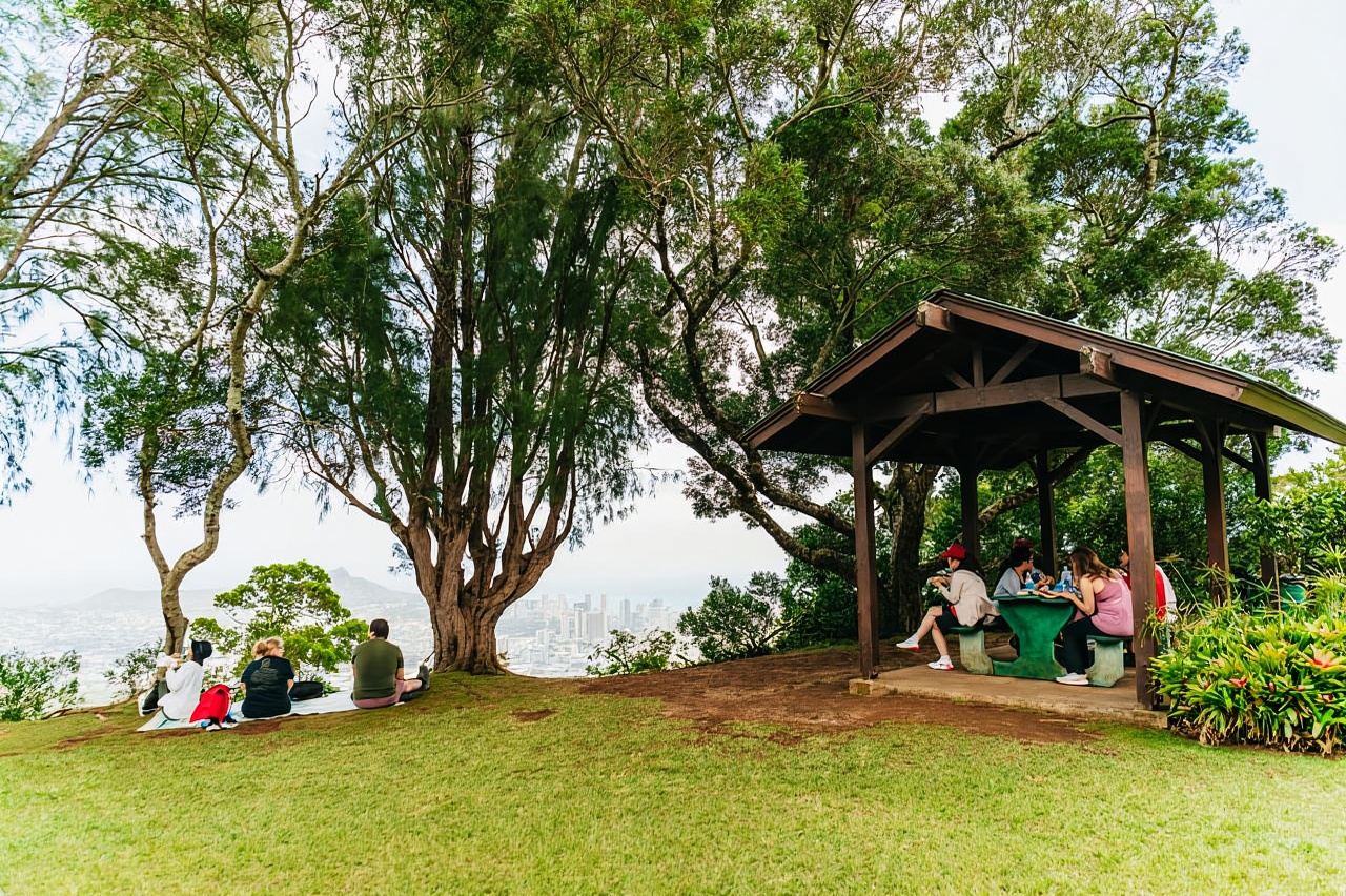 Oahu: Manoa Falls Waterfall Hike with Lunch and Transfers