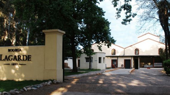 Día privado en bodegas de Mendoza (Vuelo opcional desde Buenos Aires)
