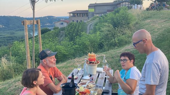Besuch der Weinberge der Côte-Rôtie mit Aperitif