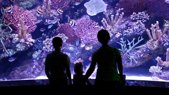 Antalya: Eintrittskarte für Aquarium und Wachsmuseum