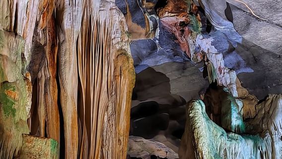 Depuis Hué : 1 jour d'exploration de la grotte du Paradis|Départ les jours pairs