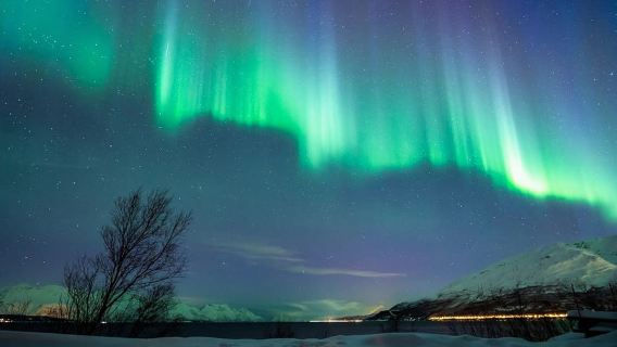 From Tromsø: Aurora Minibus Chase with Portrait and Hot Meal