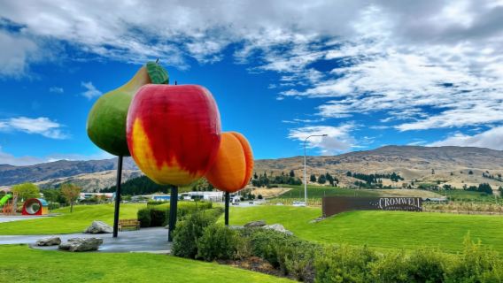 紐西蘭南島格林諾奇一日遊【中文小團+皇后鎮來回+每天出發】