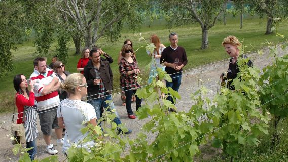 Waiheke Island: The Essence of Waiheke Wine Tour