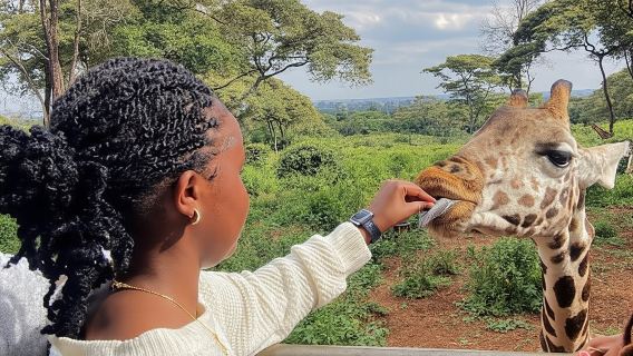 Explore Zakir Wildlife Park: Giraffes, Zebras & More