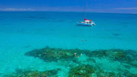 Tur Snorkeling Seharian di Great Barrier Reef dari Cairns