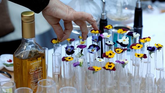 Olive Oil tasting breakfast & Tour in Cordoba