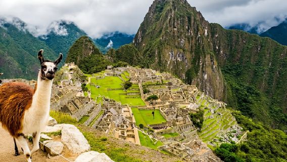 Excursion d'une journée au Machu Picchu au départ de Cusco, Pérou (comprend le Billet d'entrée le Machu Picchu, le Billet de train et le Guide touristique)