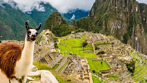 1-day tour to the Historic Sanctuary of Machu Picchu from Cusco, Peru, including admission ticket, train ticket, and guide service