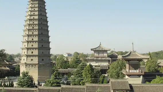 法門文化景區+乾陵一日遊【可選漢武帝茂陵贈特色佛門素齋】