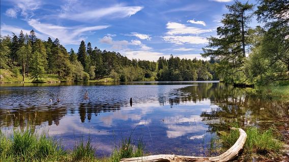 Lawatan peribadi 6 jam ke Daerah Tasik.