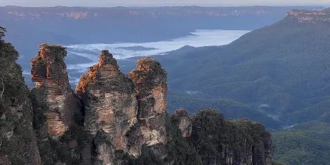 藍山私家團連野生動物公園