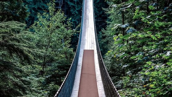 однодневный тур в Ванкувер: Висячий мост Капилано, каньон Линн и Стэнли-парк с услугами на китайском и английском языках