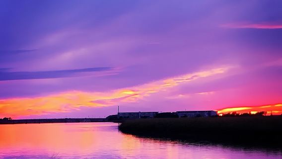 Private Charleston-Sonnenuntergangs- und Delfin-Kreuzfahrt