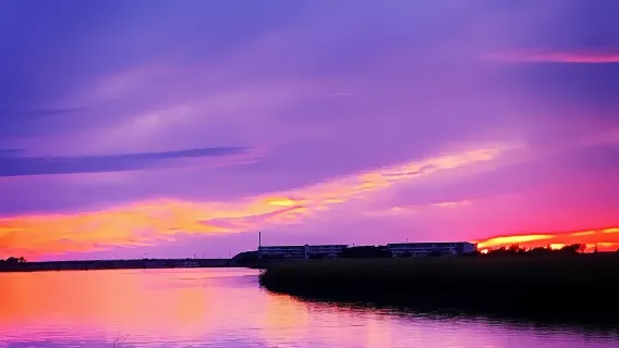 Private Charleston Sunset & Dolphin Cruise