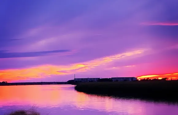 私人查爾斯頓日落與海豚郵輪之旅