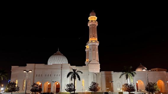 Tour della città di Salalah (tour privato)