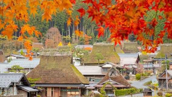 Excursion d'une journée à Amanohashidate, aux maisons flottantes d'Ine et au village de Kayabuki no Sato à Miyama