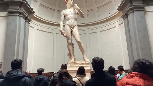 David y Galería de la Academia: Viaje organizado en grupo reducido de 1 hora