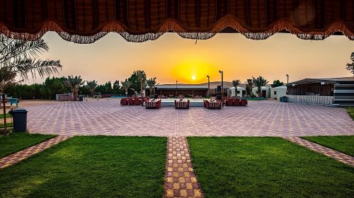 Dubai: Safari With Live BBQ Dinner, Camel Ride ,Live Performances Day Tours 5