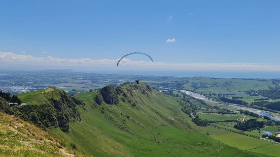 Napier: Lo más destacado y recorrido para explorar lo mejor de esta región