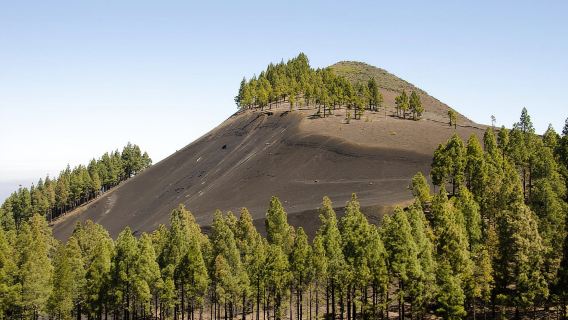 Maspalomas y Las Palmas: Artenara, Tamadaba y degustación de sidra