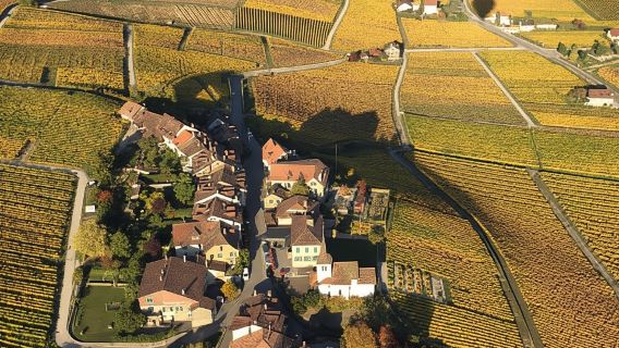 Lausanne: Swiss Fondue Flight in a Hot Air Balloon