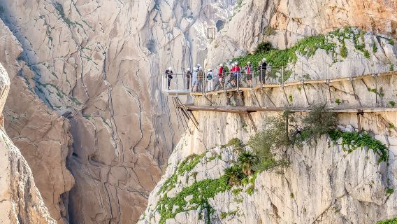 From Costa del Sol: Caminito del Rey Day Trip