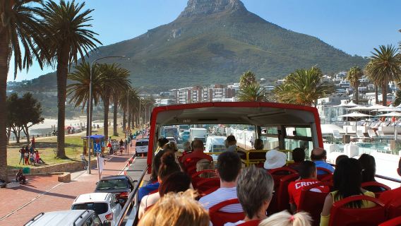 Cape Town: Tour xe buýt Hop-On Hop-Off kèm tùy chọn đi thuyền