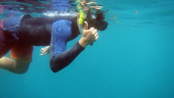 Bali: 1 Hour Snorkeling at Nusa Dua Beach