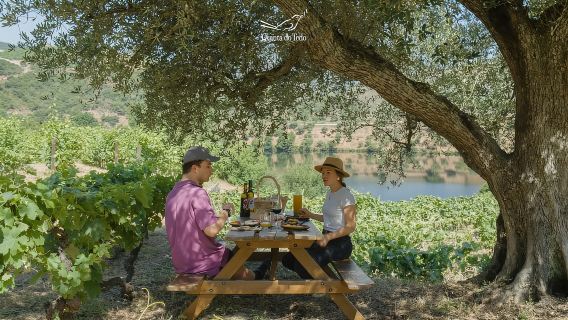 Valle del Douro: esperienza enologica Quinta do Tedo con picnic