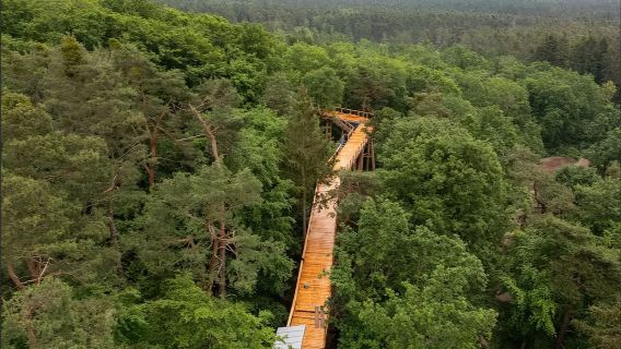 1-day tour of Imperial Castle of Nuremberg + Nuremberg Frauenkirche + Nuremberg Zoo